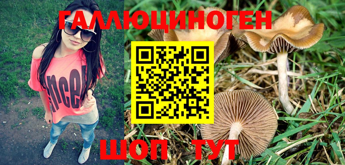 Псилоцибиновые грибы MAGIC MUSHROOMS Ялуторовск