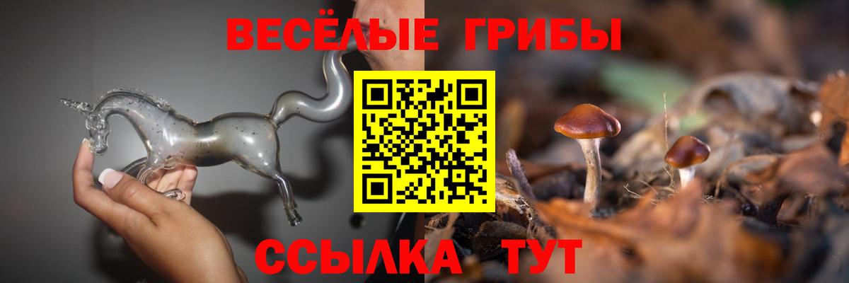 Псилоцибиновые грибы Cubensis  Вход с VPN  Ялуторовск  Псилоцибиновые грибы мицелий 